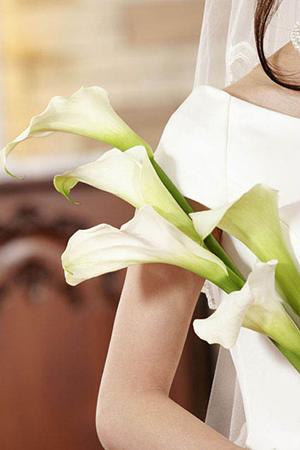 成功する婚活の秘訣とは？高学歴の理想のパートナーを見つける方法を徹底解説！