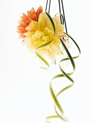 楽しく婚活して安く仕上げるなら