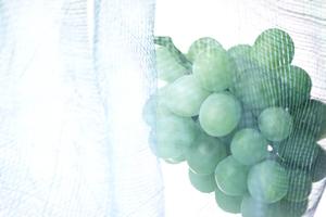 気軽に注文できる結婚指輪の通販