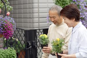結婚相談所で理想の結婚相手を探そう